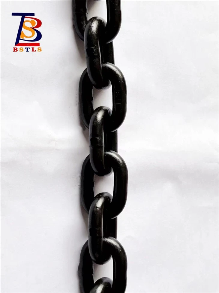 High Temperature Lifting Chain G100 Transport Chain